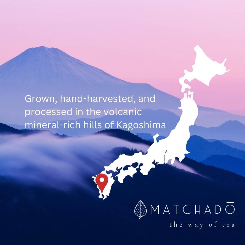 Organic Culinary Matcha
