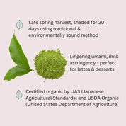 Organic Culinary Matcha