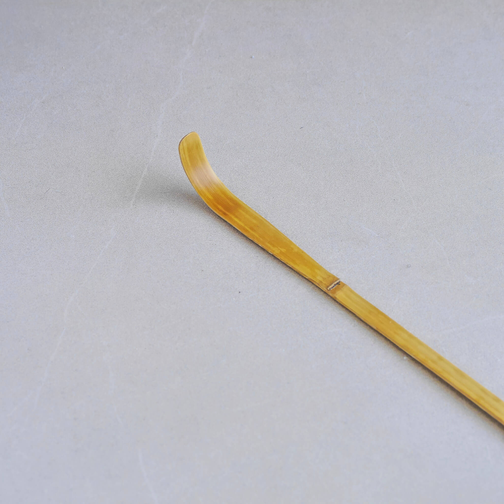 P1090057_1.jpg
